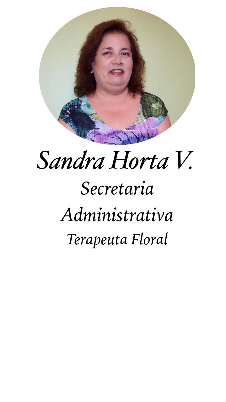 Sandra Secretaria